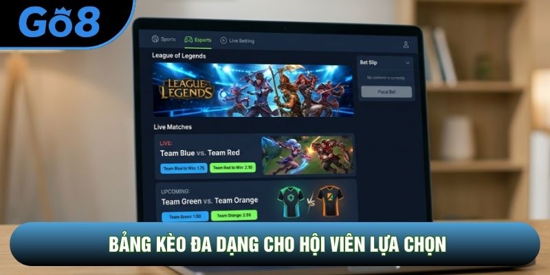Bảng kèo đa dạng cho hội viên lựa chọn