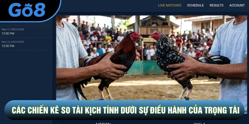 Các chiến kê so tài kịch tính dưới sự điều hành của trọng tài