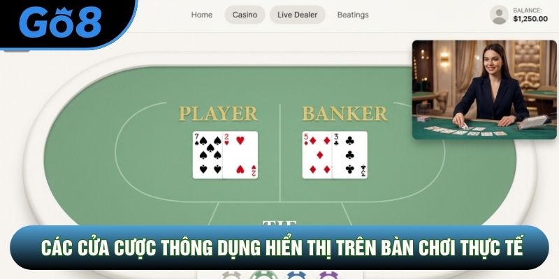 Các cửa cược thông dụng hiển thị trên bàn chơi thực tế