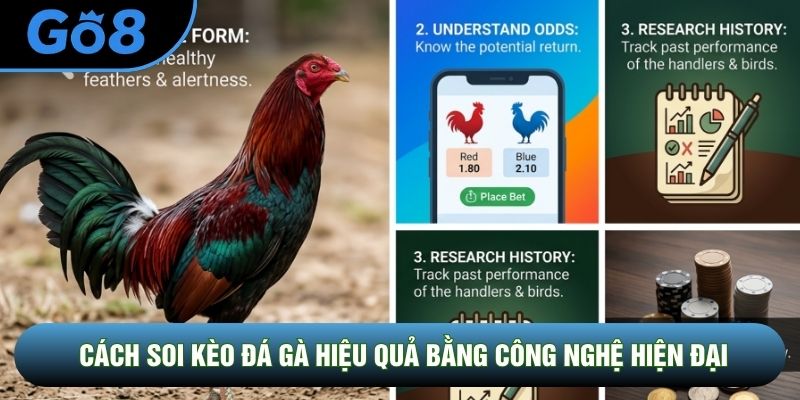 Cách soi kèo đá gà hiệu quả bằng công nghệ hiện đại Cách soi kèo đá gà hiệu quả bằng công nghệ hiện đại