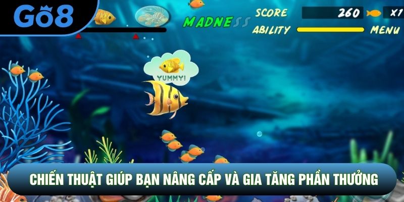 Chiến thuật giúp bạn nâng cấp và gia tăng phần thưởng