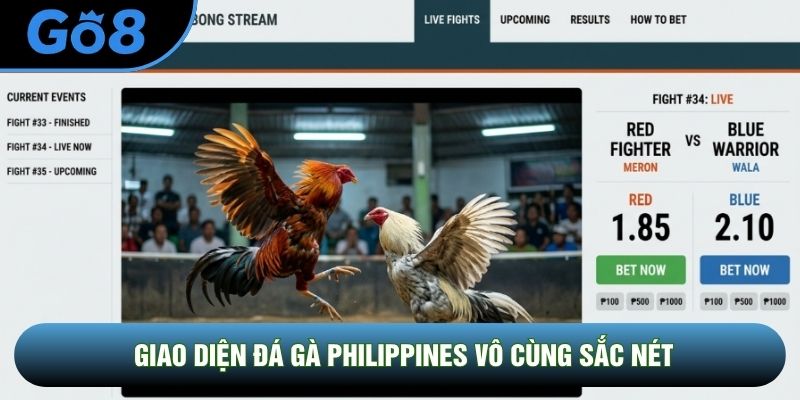 Giao diện đá gà philippines vô cùng sắc nét