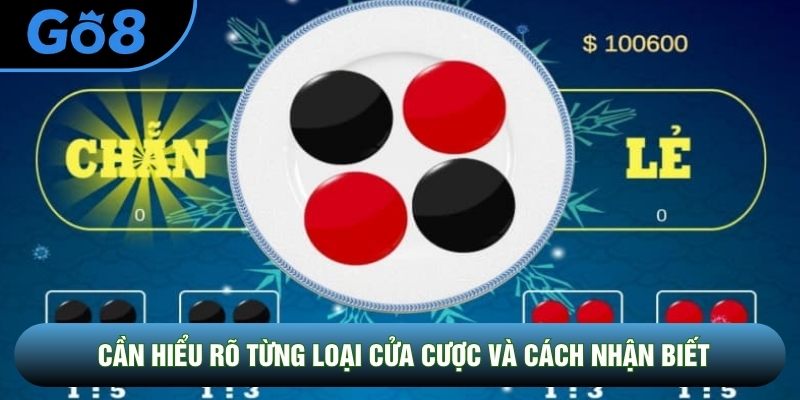 Người chơi cần hiểu rõ từng loại cửa cược và cách nhận biết