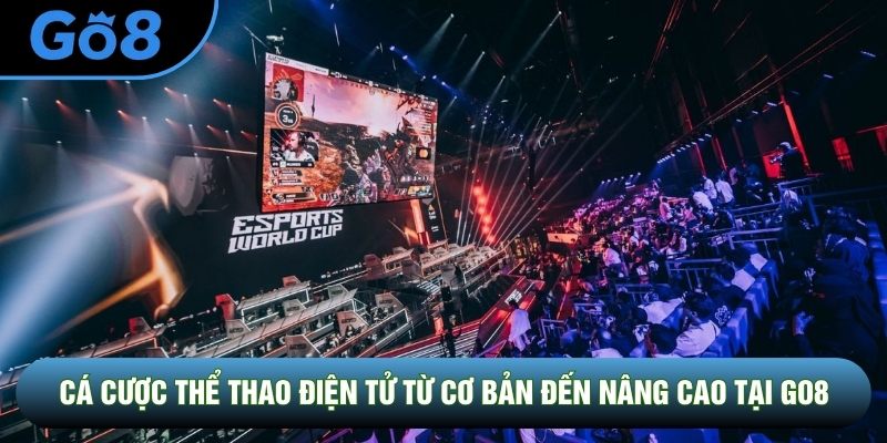 Cá Cược Thể Thao Điện Tử Từ Cơ Bản Đến Nâng Cao Tại Go8