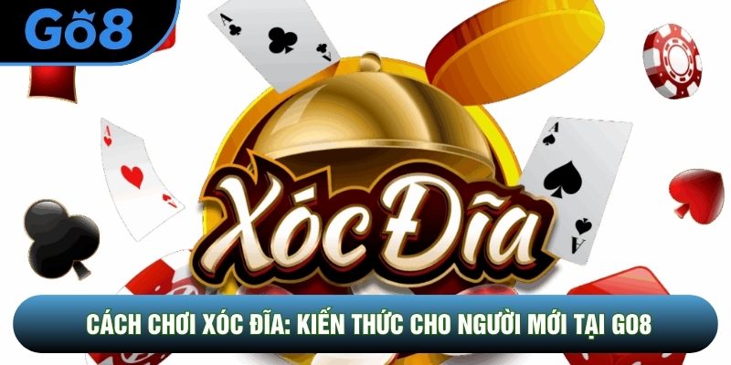 Cách Chơi Xóc Đĩa: Kiến Thức Trang Bị Cho Người Mới Tại Go8