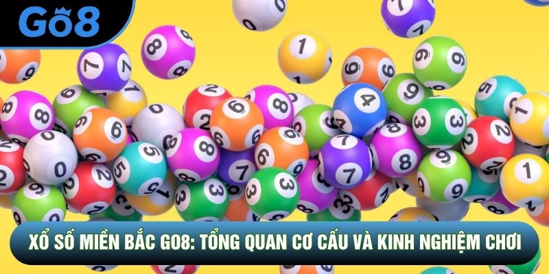 Xổ Số Miền Bắc Go8: Tổng Quan Cơ Cấu Và Kinh Nghiệm Chơi